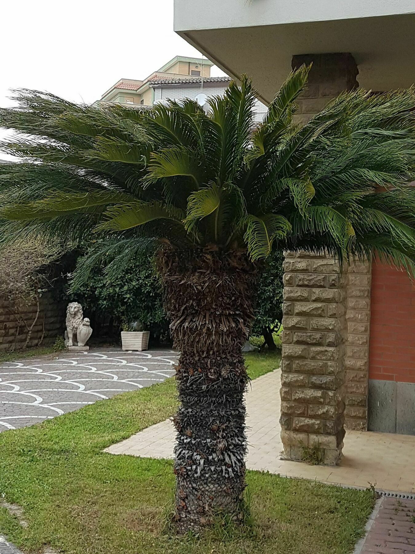 Myricae Rooms Affittacamere No Late Arrival Fiumicino Exterior photo